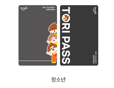 무상교통 과천토리패스 청소년 카드