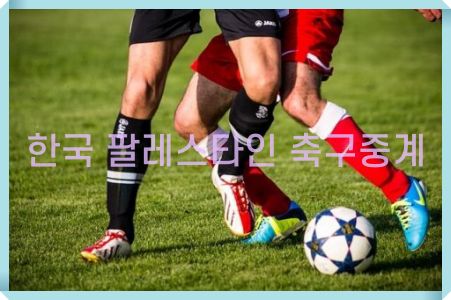 한국 팔레스타인 순위 전력 비교-3