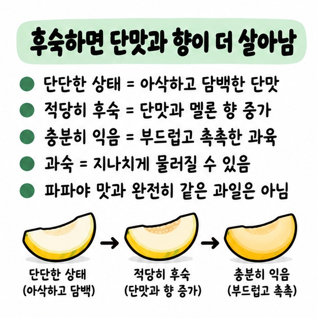 단단할 때는 아삭하고 담백한 단맛이 나며 적당히 후숙하면 단맛과 멜론 향이 살아나고 과육이 부드러워진다는 맛 변화 카드