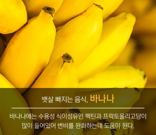 비만해소에 도움이 되는 음식