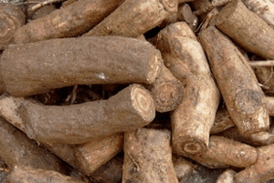 갱년기에좋은음식10