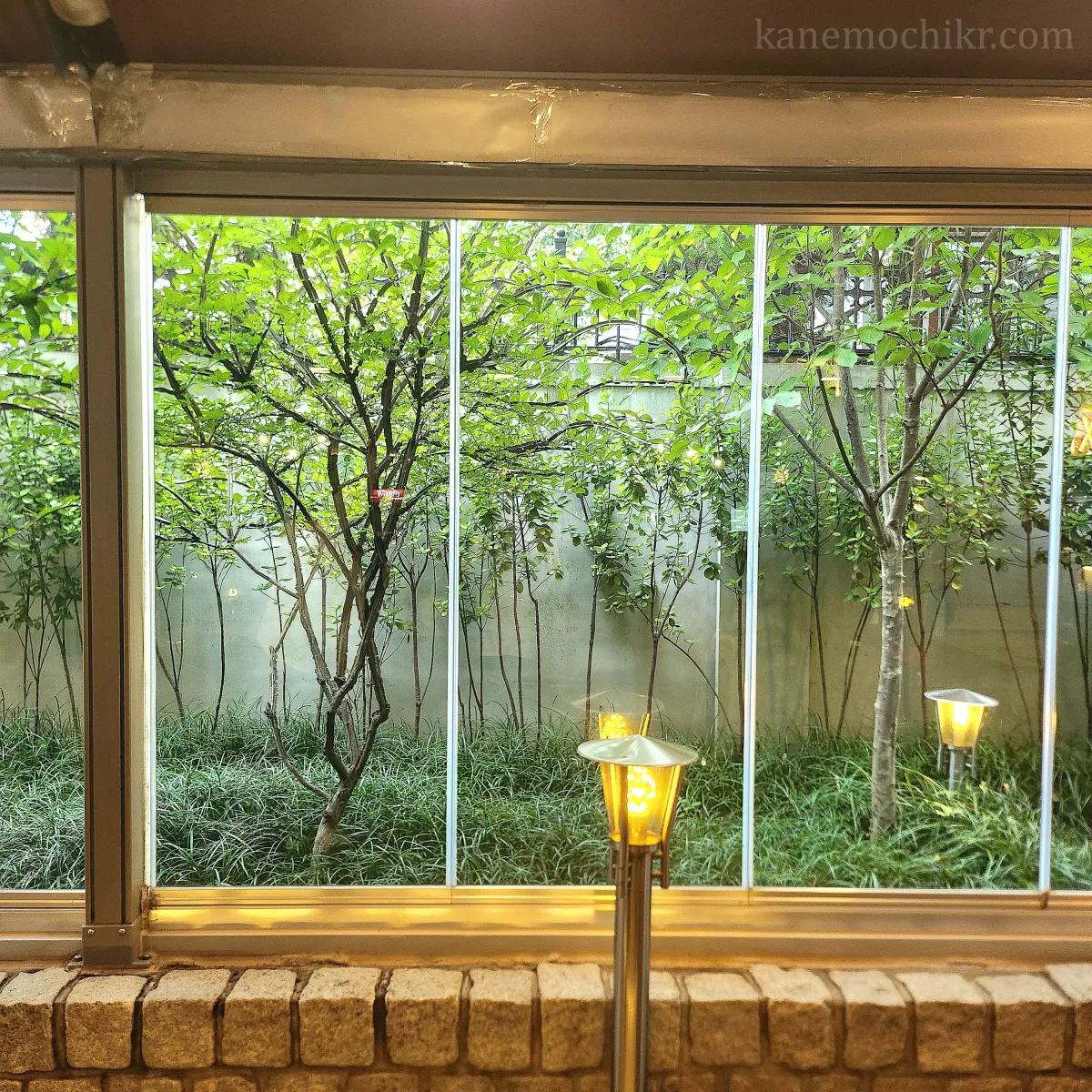 멕시칼리-테라스