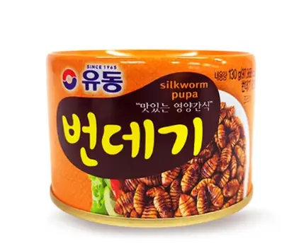 번데기-통조림