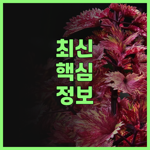 미니PC 완벽 분석 당신에게 맞는 제