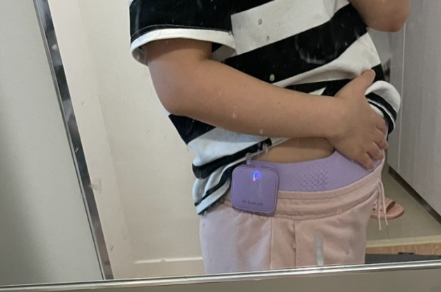 발란스핏 EMS 슬림 벨트 내돈내산 효과