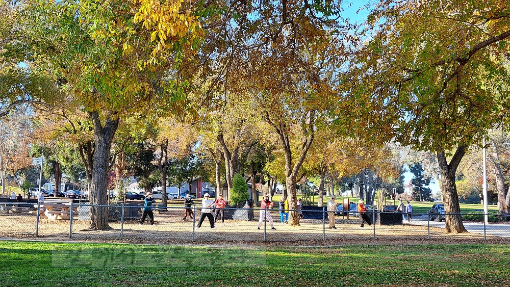 Central Park(Fremont,CA)