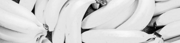 바나나 껍질 활용법: 다양한 방법