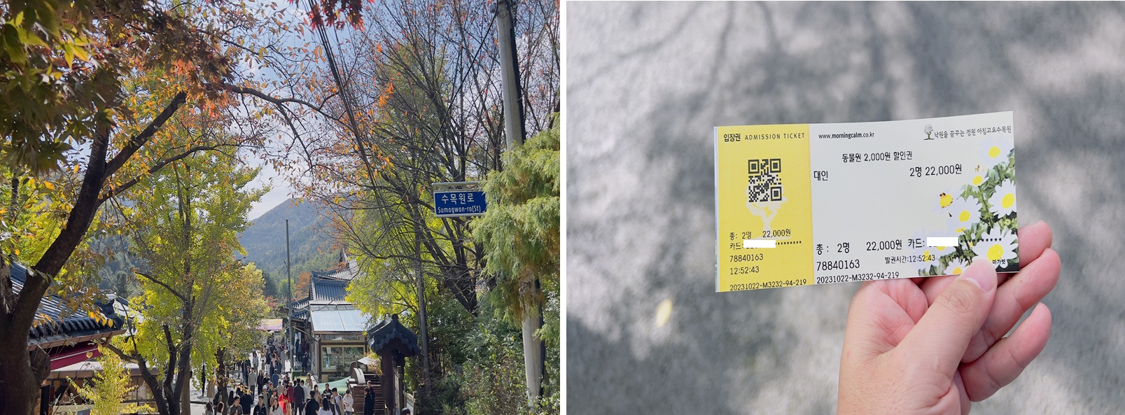 아침고요수목원-입구-사진과-티켓