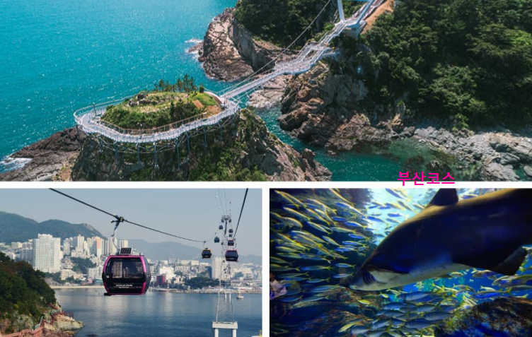 부산코스