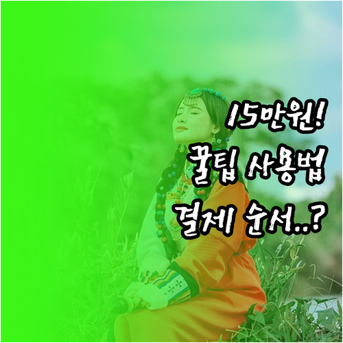 청년문화예술패스 15만 원 혜택 사용..