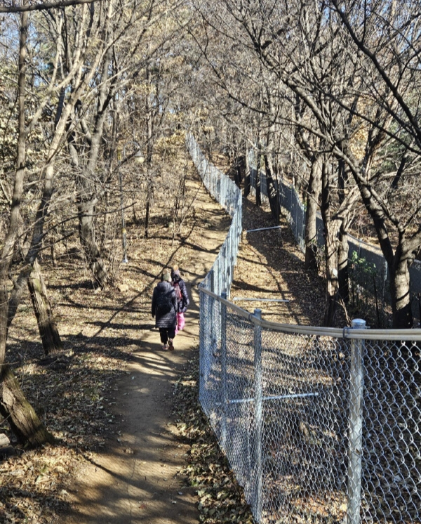 부천 반려견 겨울 나들이 명소, 강아지와 함께 걷기 좋은 산책 코스