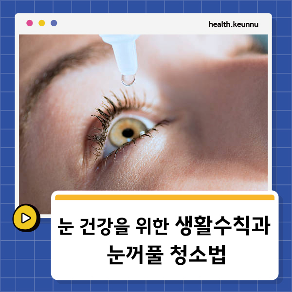 눈꺼풀 청소