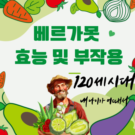 베르가못 효능