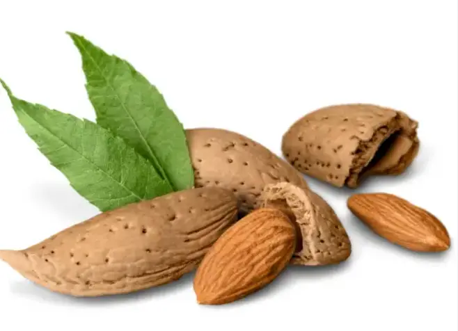 폐암 초기증상&amp;#44; 폐암에 좋은 음식 피해야 할 나쁜 음식