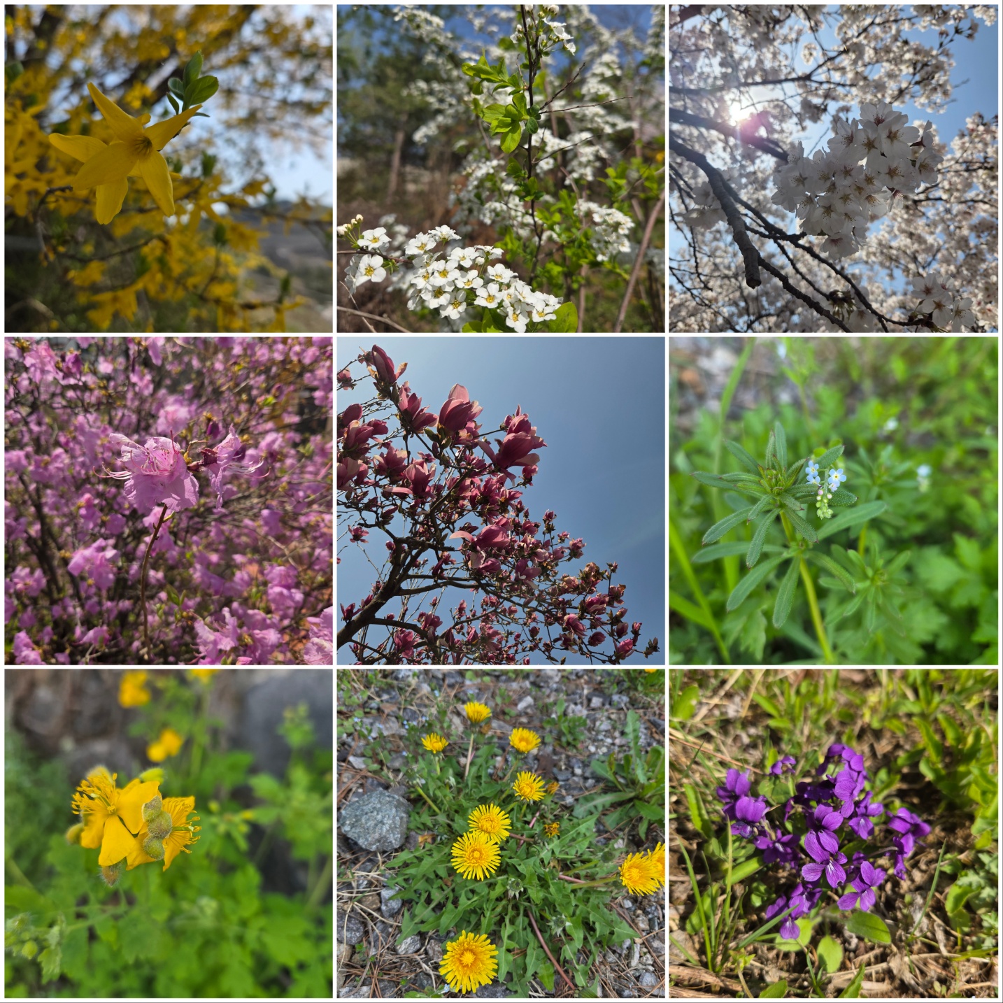 할머니가 보고 싶은 날, 나는 알사탕을 떠올린다 🍬 ❘ 알사탕 독후감