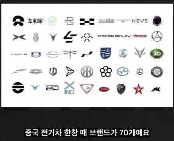 중국전기차 브랜드가격순위byd니오suv 가격보조금 등 총정리로_9