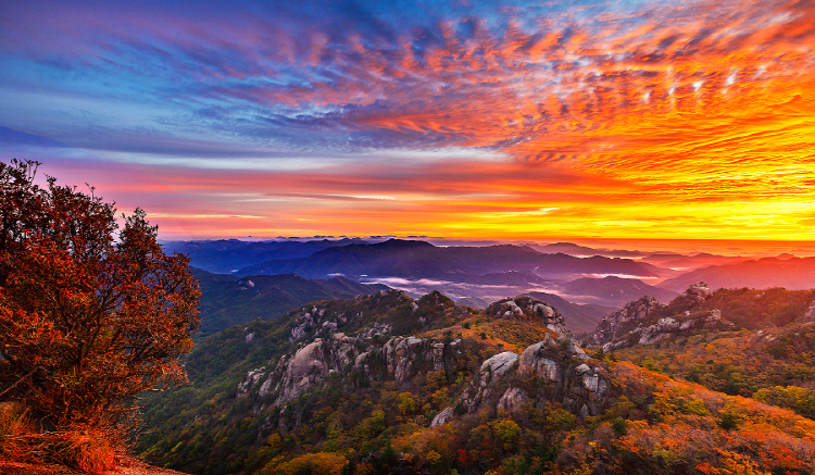 속리산 등산코스