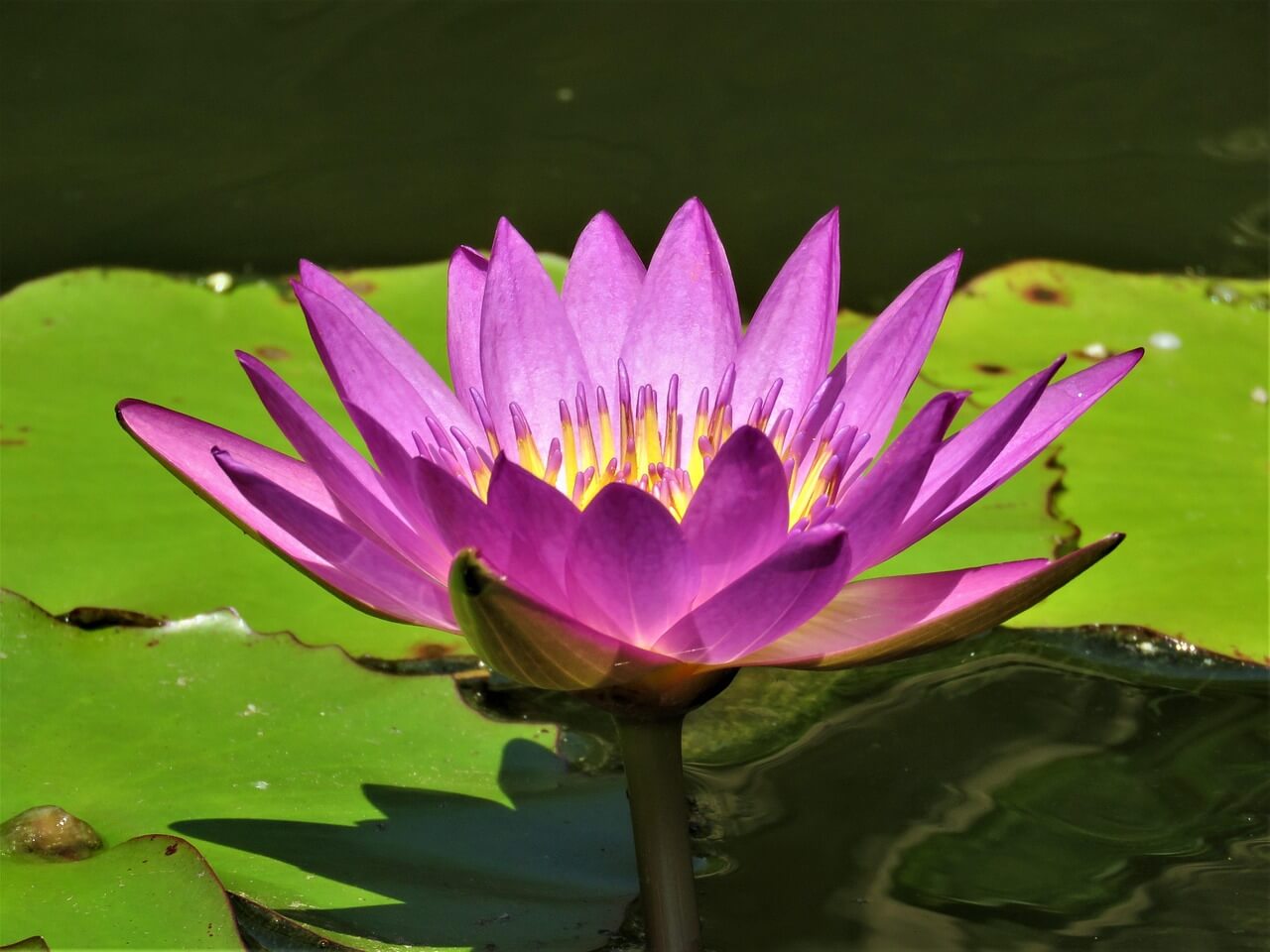 AWS 합격 로드맵 총정리