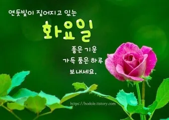 화요일 아침 인사말 좋은 글 9월 가을 이미지들_20