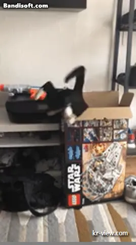 img.webp?credential=yqXZFxpELC7KVnFOS48ylbz2pIh7yKj8&expires=1767193199&allow_ip=&allow_referer=&signature=ZvKftzlM%2F28HnlVlBQiy53vj0t4%3D