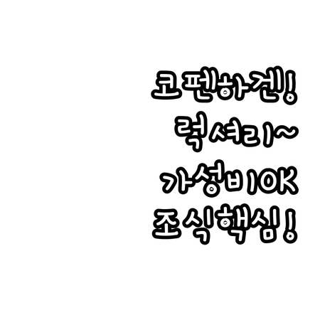 럭셔리부터 가성비까지 코펜하겐 인기 ..