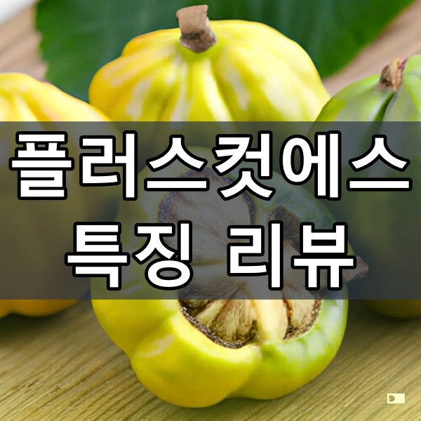 플러스컷에스 대표 이미지