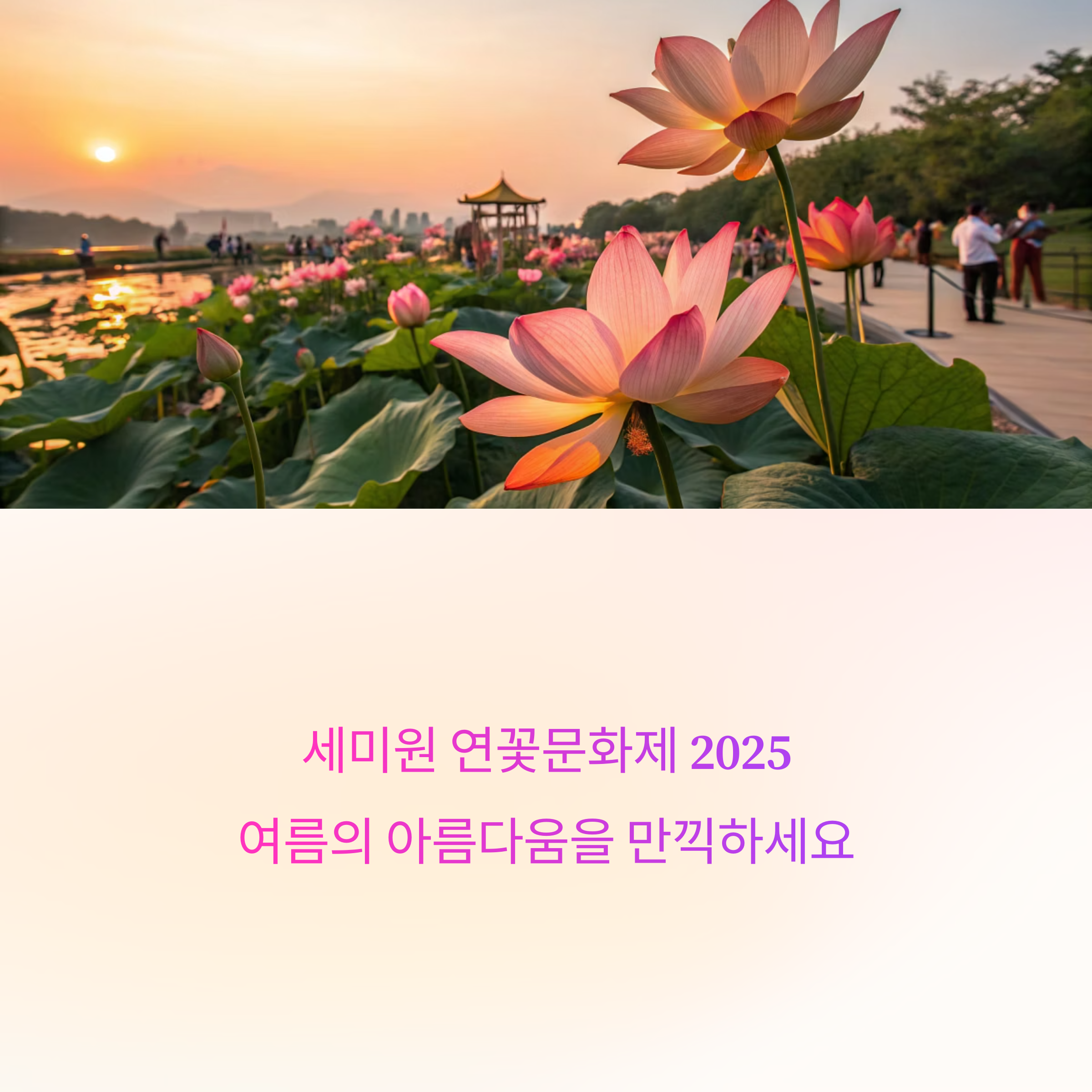자연과 예술이 피어나는 여름, 세미원 연꽃문화제 2025 완벽 가이드