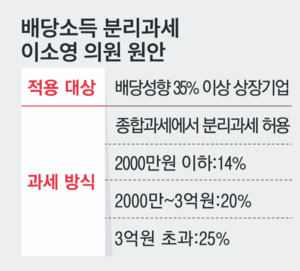 배당소득 분리과세 이소영 의원 원안