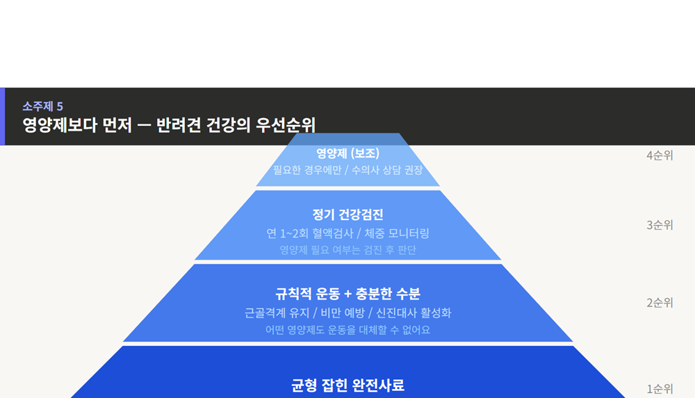 강아지 건강 우선순위
사료·운동·검진이 먼저, 영양제는 그다음이에요