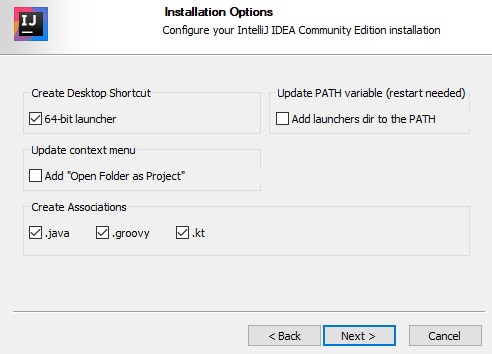 설치 옵션 선택