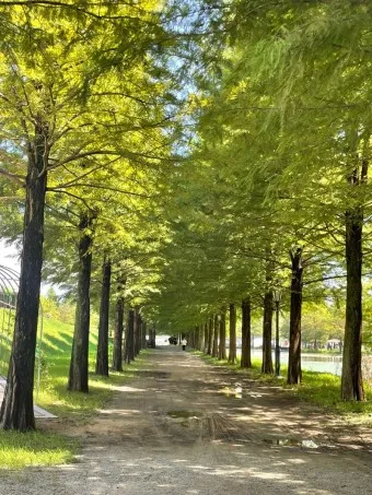 담양 맛집 베스트10 진짜 현지인만 아는곳_8