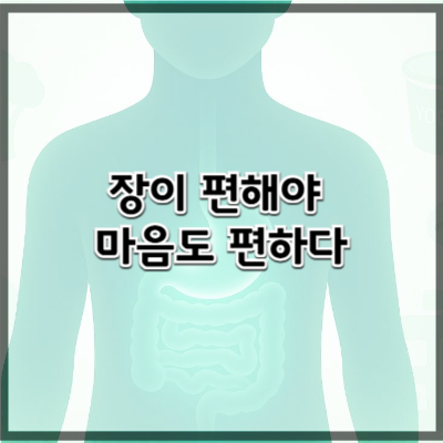 장과 정신건강 – 장뇌축(Gut-Brain Axis)의 모든 것