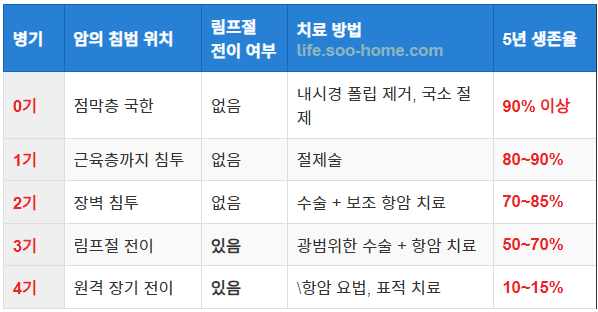 대장암의 병기별