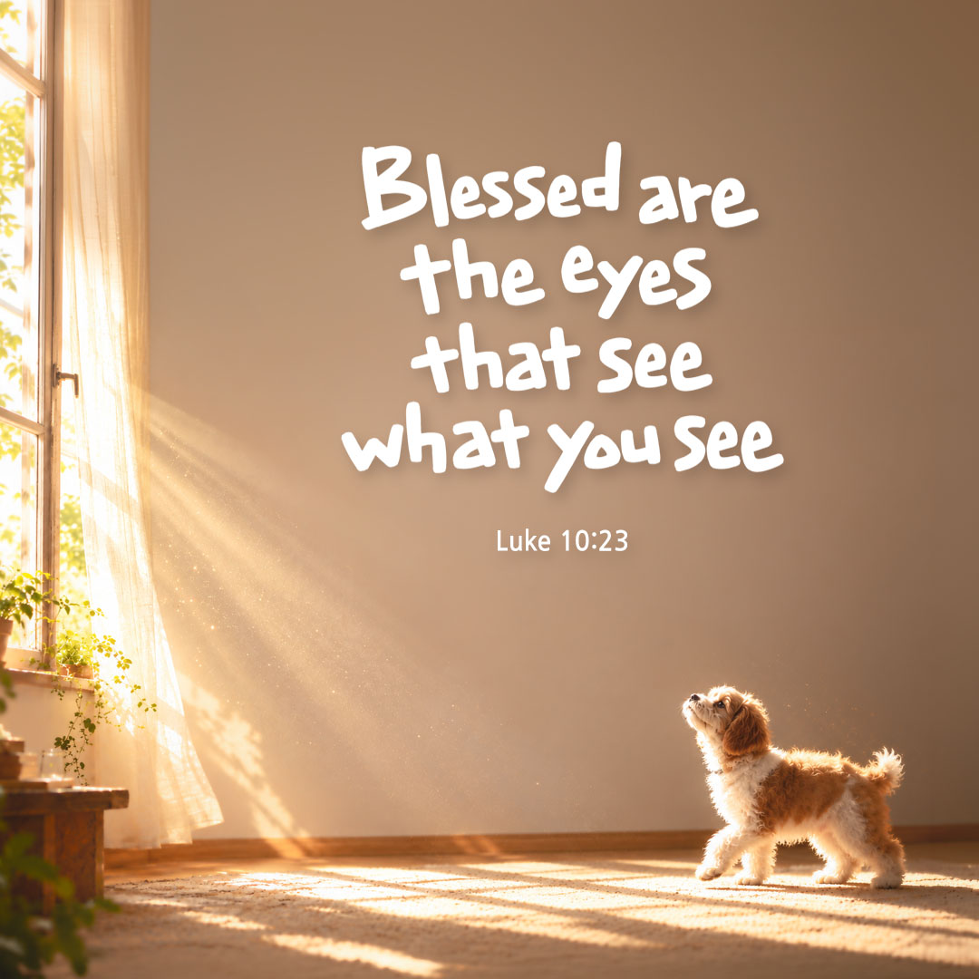 Blessed are the eyes that see what you see. (Luke 10:23) English Bible verse card