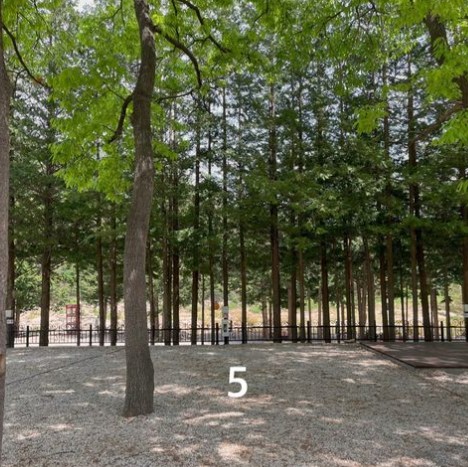 경호강_캠핑장_사이트_B5