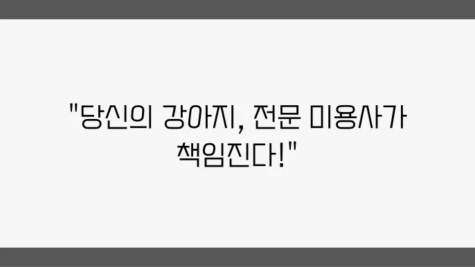 송도 애견미용사 자격증 관련