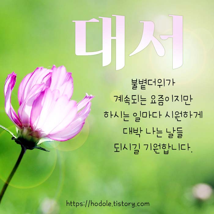 여름 인사말 이미지