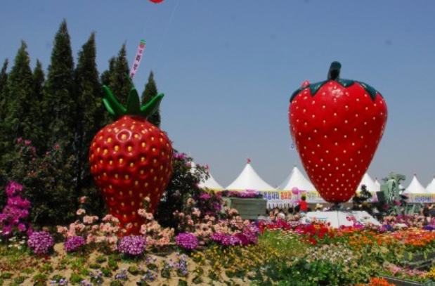 논산 딸기축제
