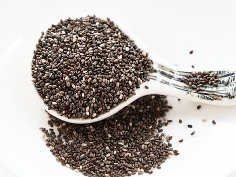 치아씨드 하루 권장량