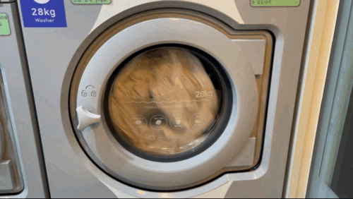 코인빨래방-세탁중