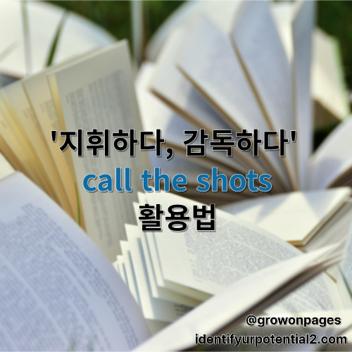 call the shots 지휘하다, 감독하다