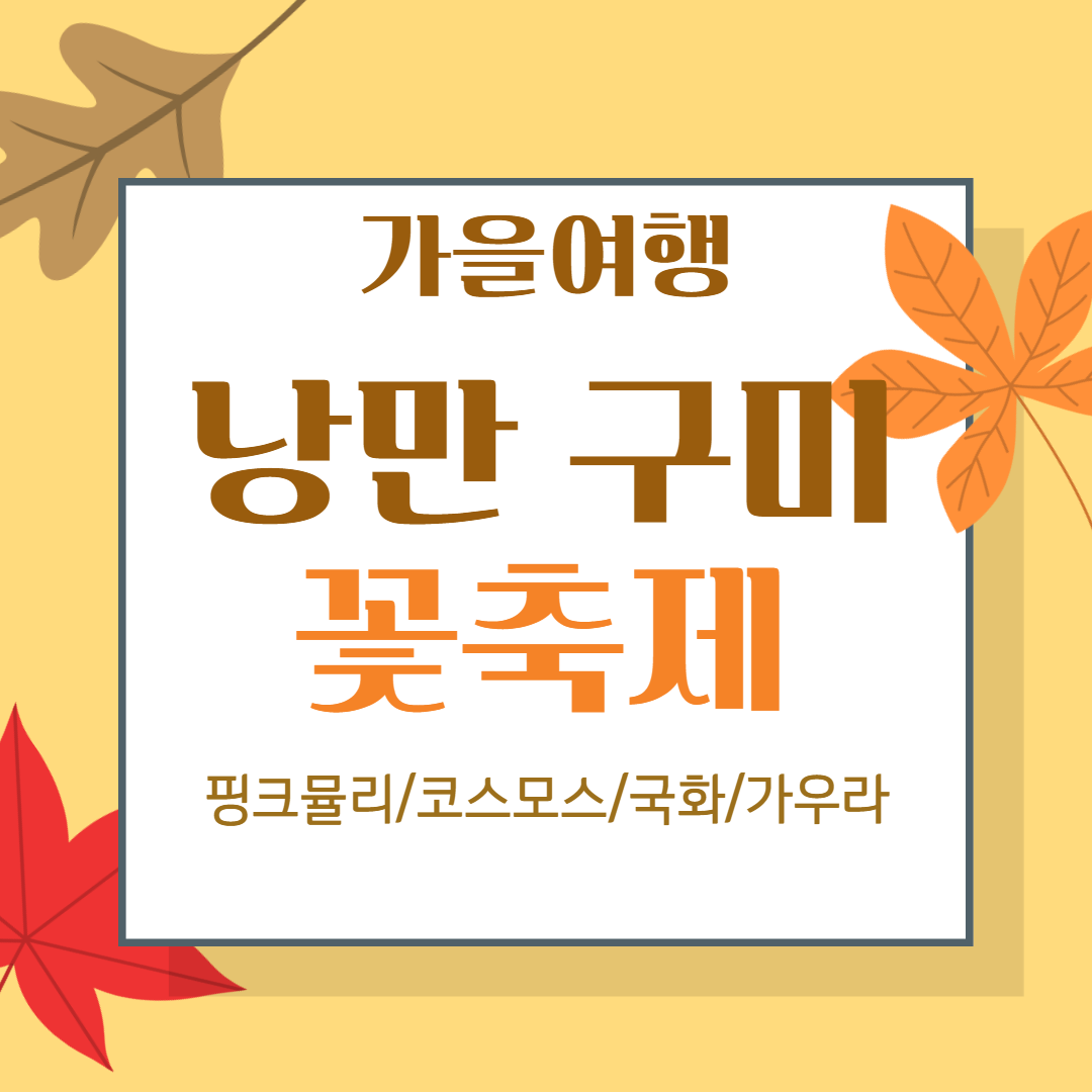 경북 낭만구꽃축제