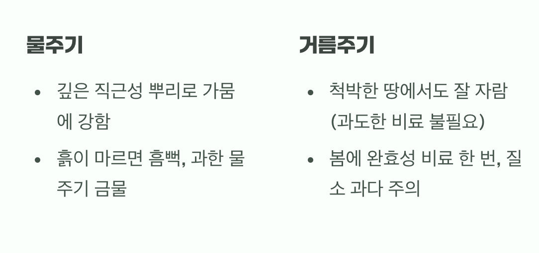 키다리 신사를 위한 배려&amp;#44; &amp;#39;물과 거름&amp;#39;