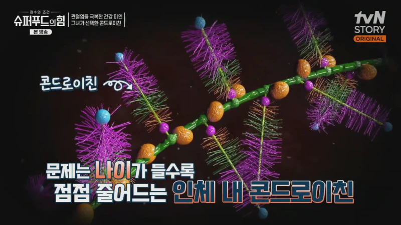 관절염에 좋은 콘드로이친
