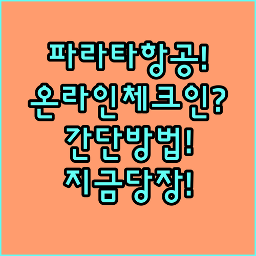 파라타항공 홈페이지에서 온라인 체크인..