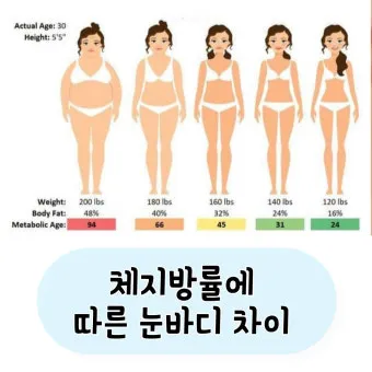 40대 여자 체지방률 평균 20~25% 계산 방법 측정법 다이어트_19