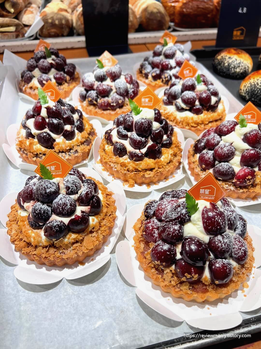 체리 타르트 사진