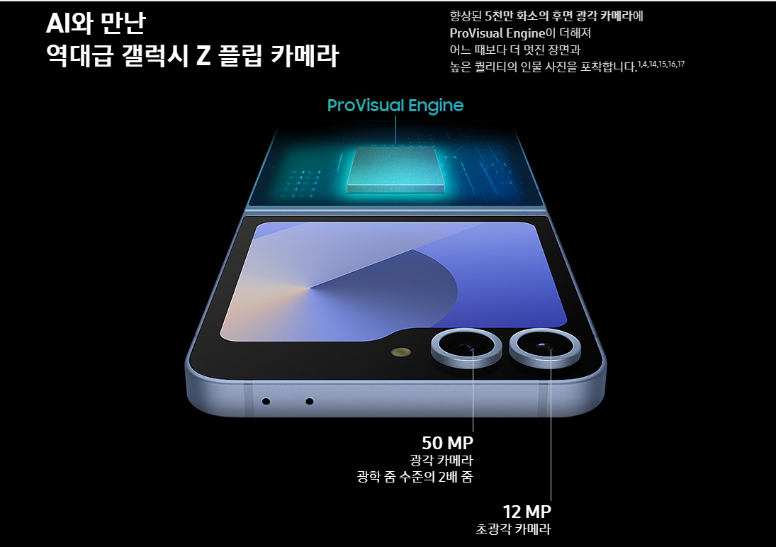 플립6