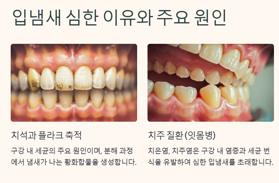 입냄새