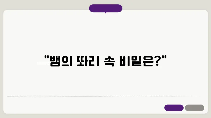 꿈에서 뱀에게 물린꿈